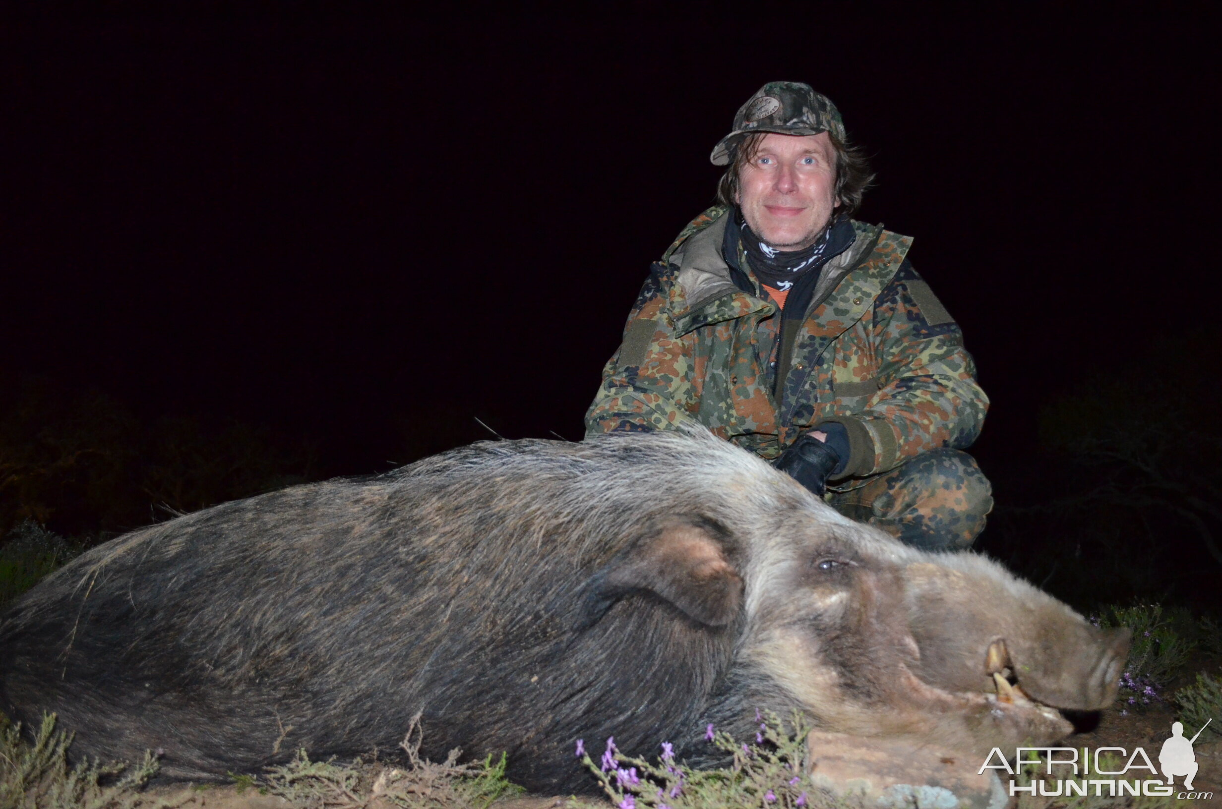 South Africa Bushpig  Hunting