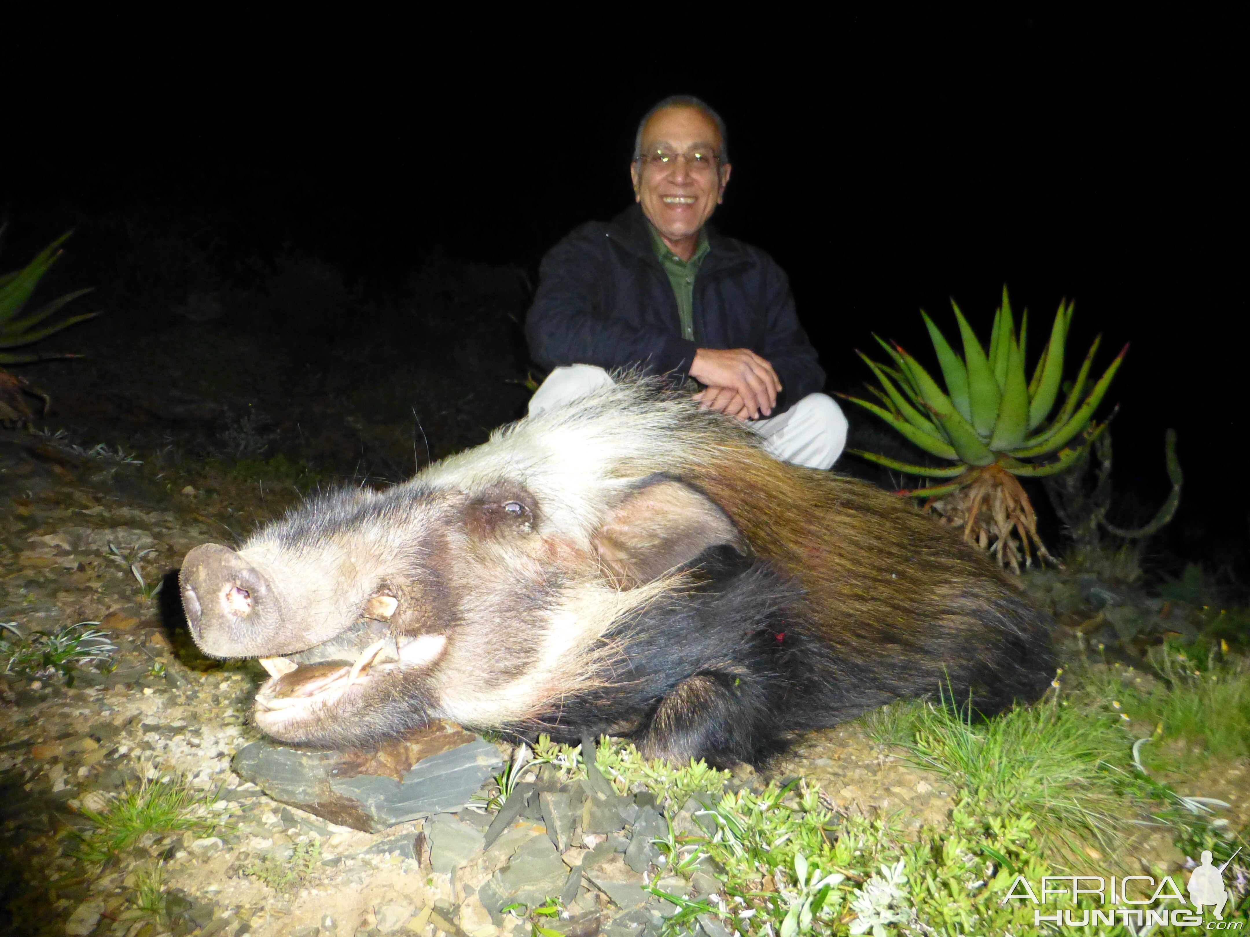 South Africa Bushpig Hunting | AfricaHunting.com