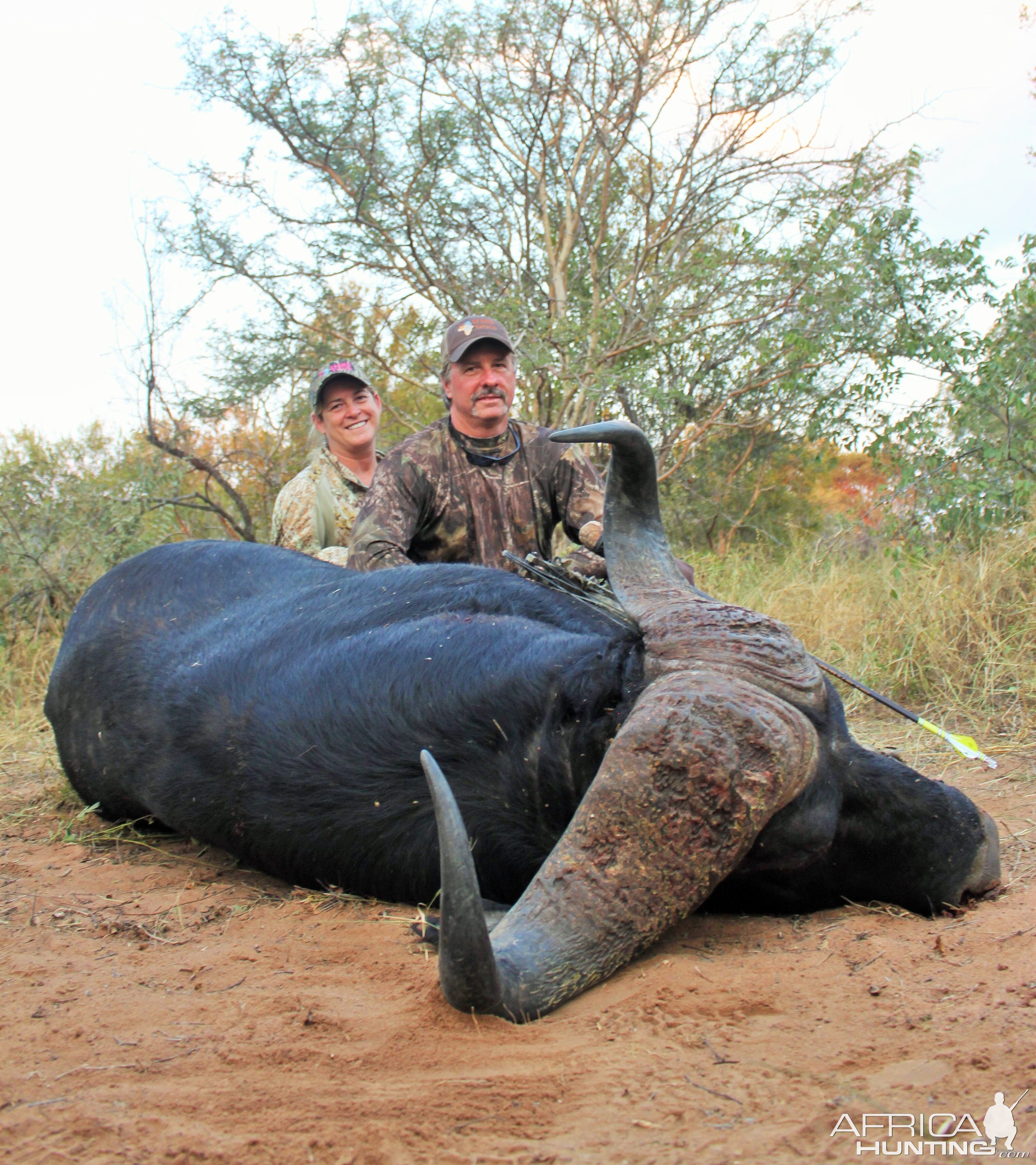 South Africa Cape Buffalo Bow Hunt