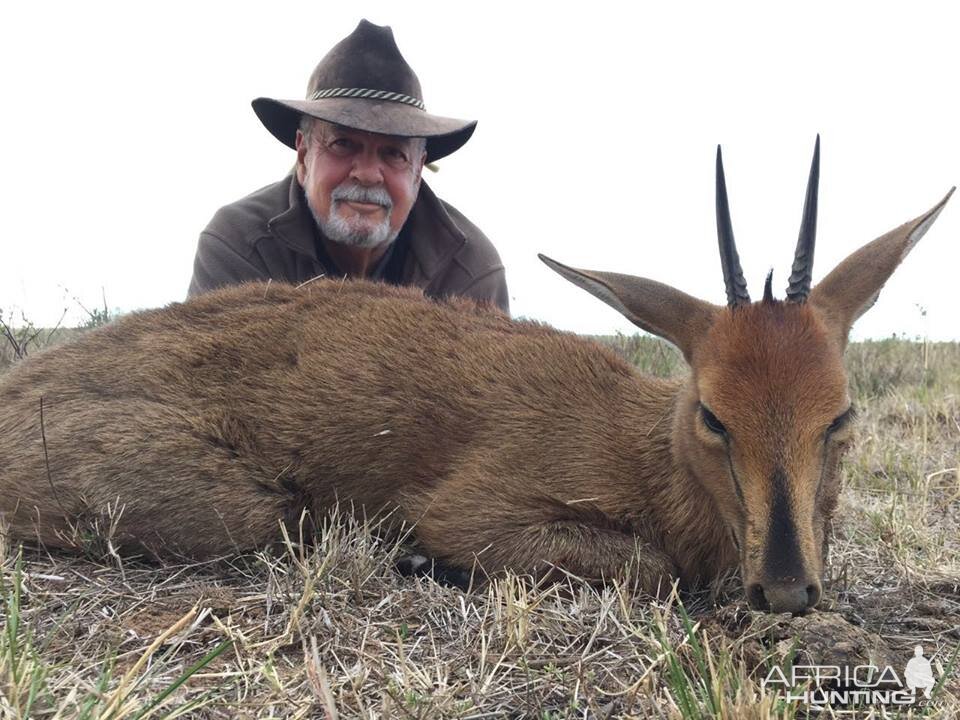 South Africa Duiker Hunt