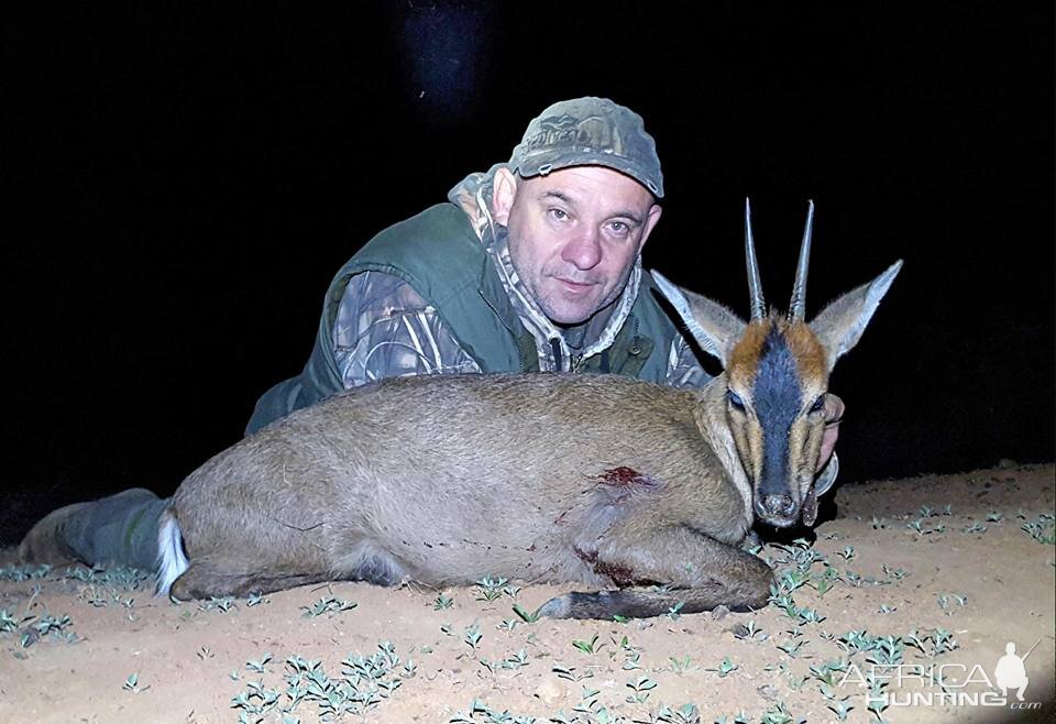 South Africa Duiker Hunt