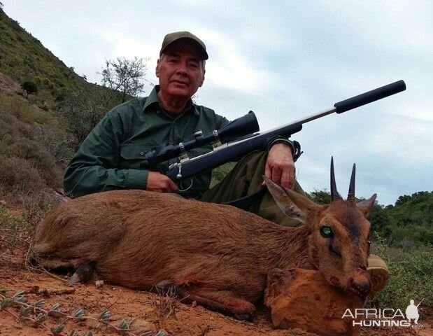 South Africa Duiker Hunt