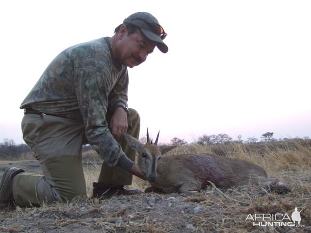 South Africa Duiker Hunt