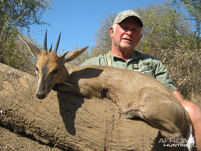 South Africa Duiker Hunt