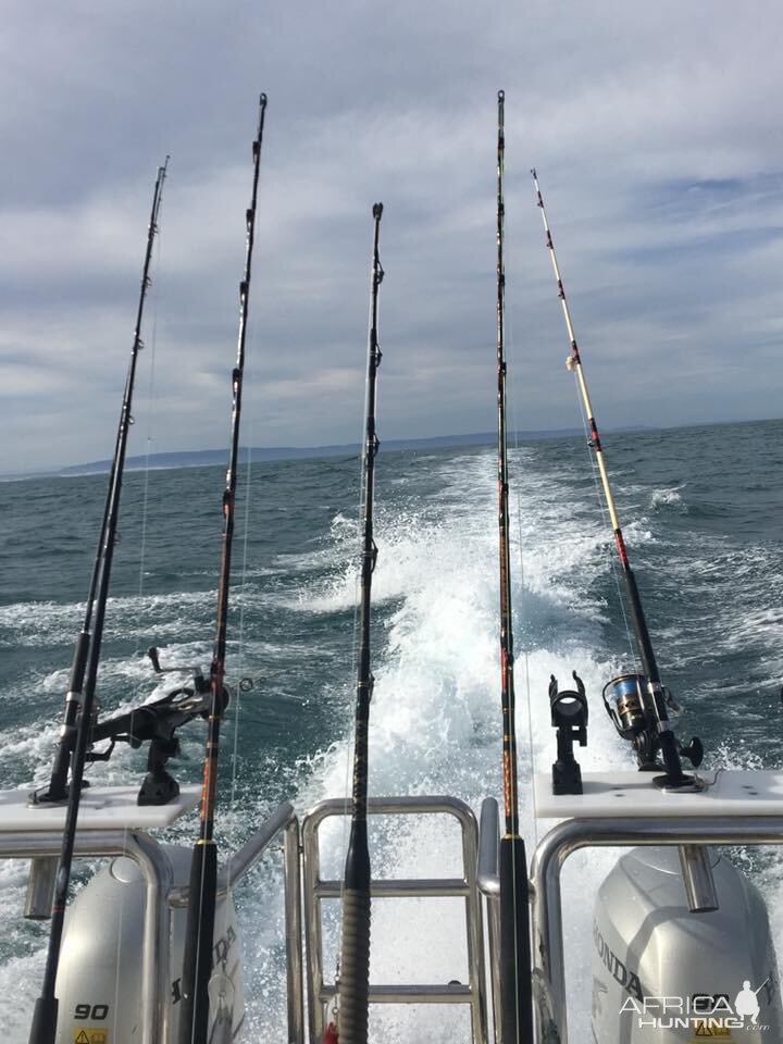 South Africa Fishing