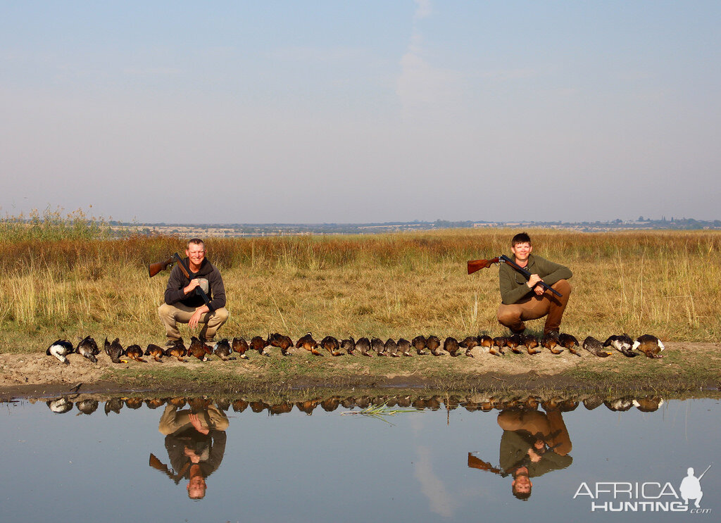 South Africa Geese Wing Shooting