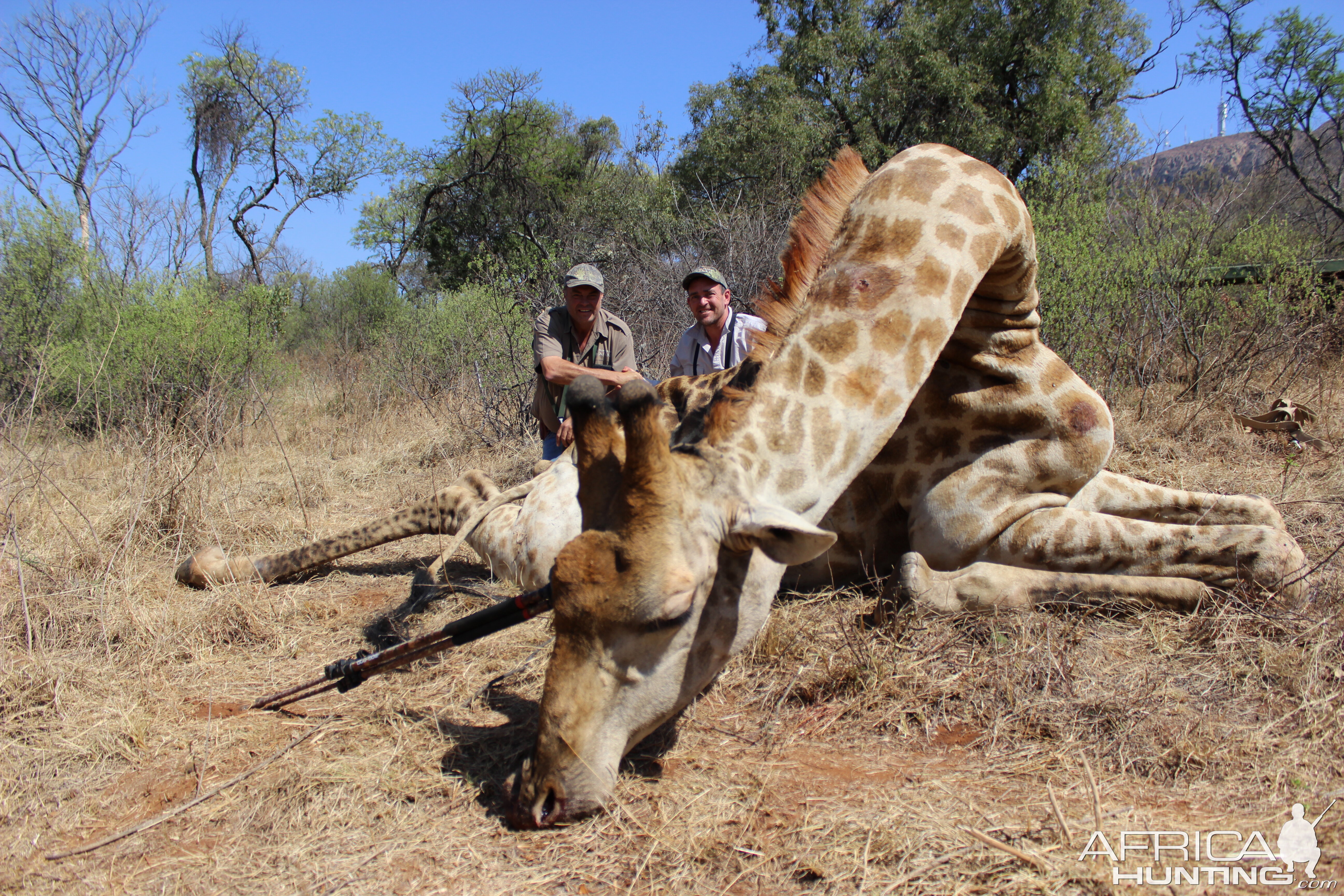 South Africa Giraffe Bow Hunting