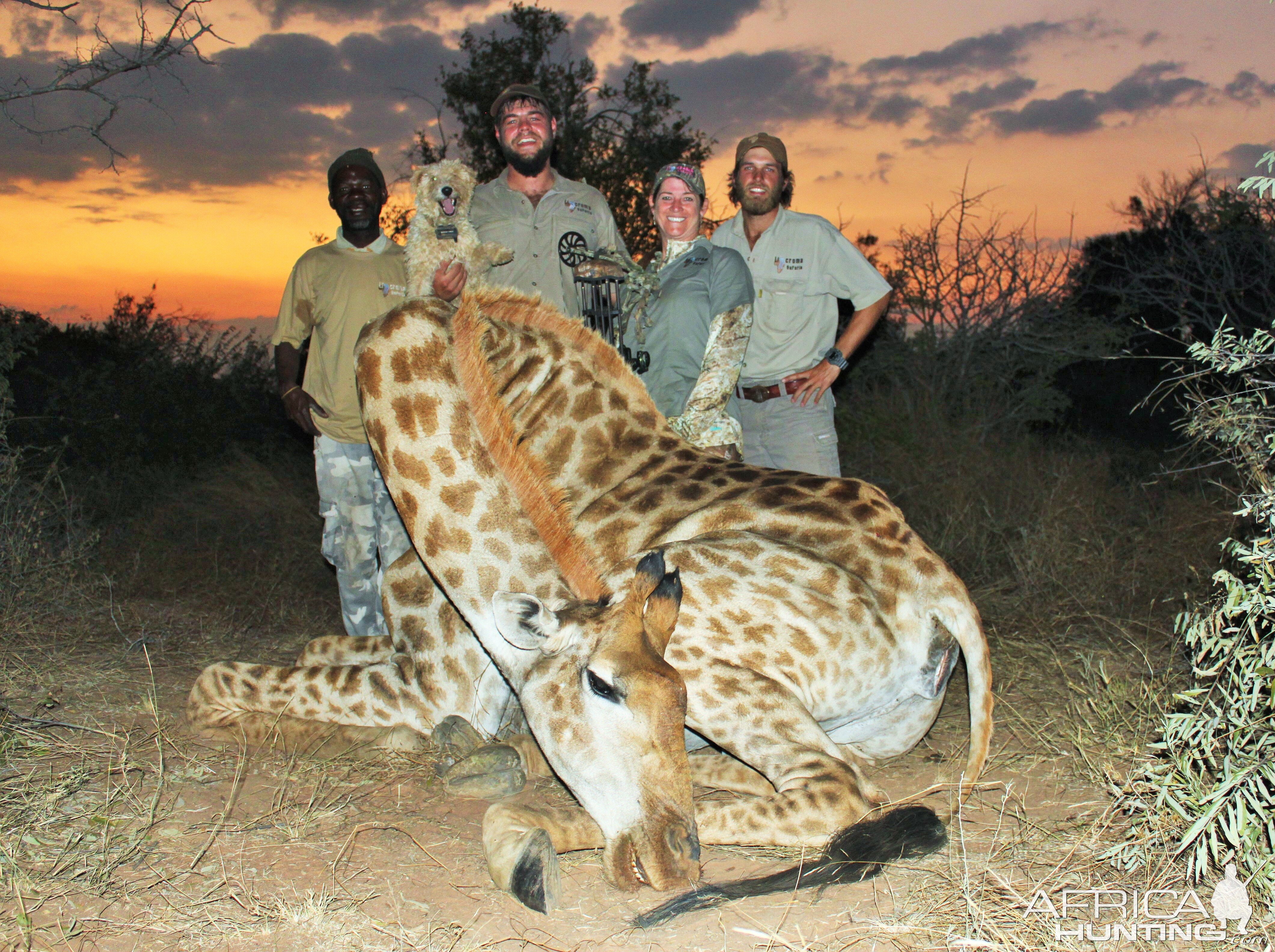 South Africa Giraffe Bow Hunting