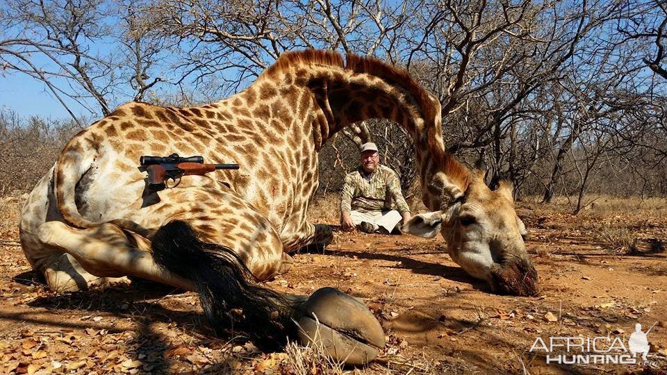 South Africa Giraffe Hunting