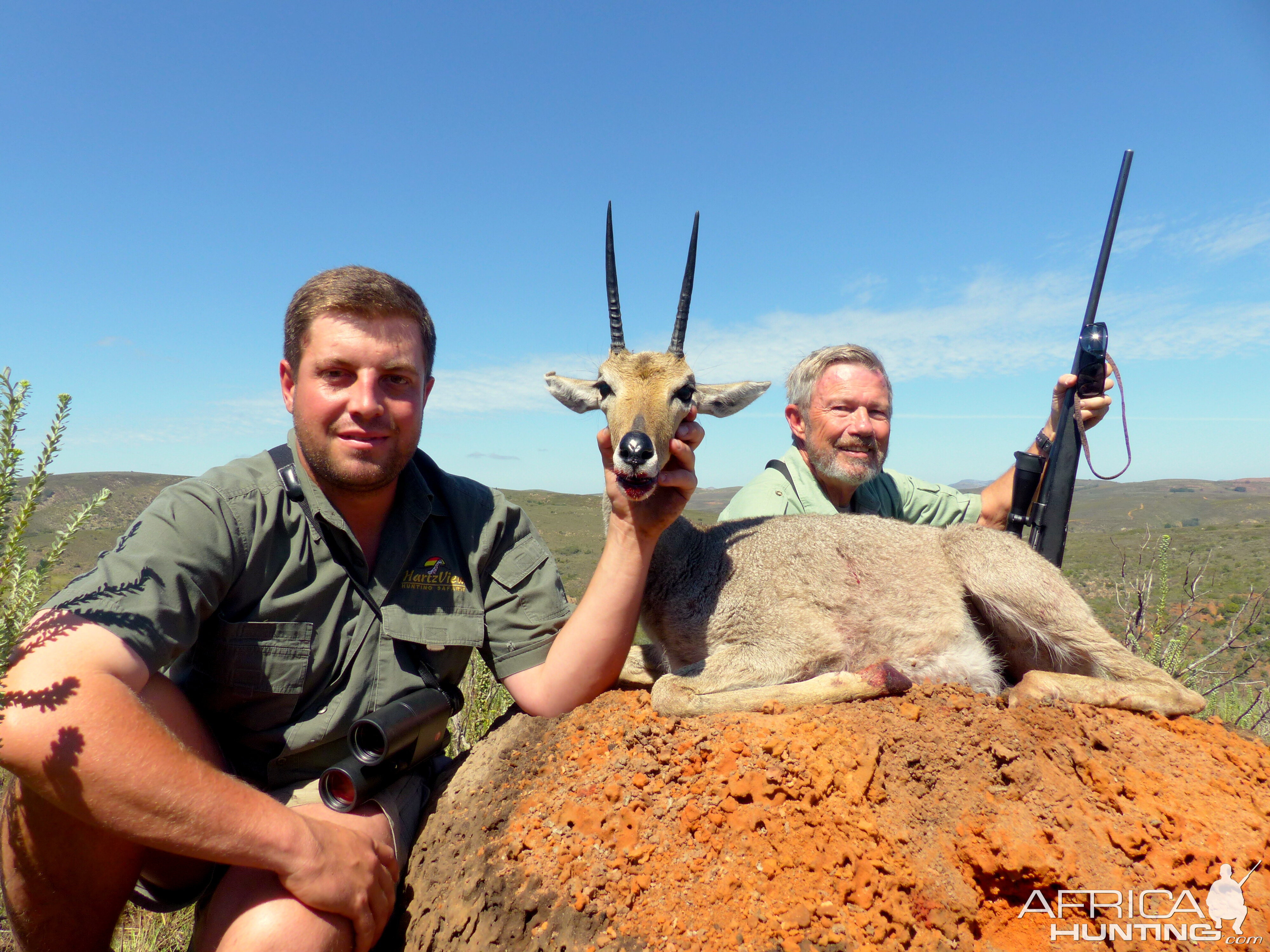 South Africa Grey Rhebok Hunt