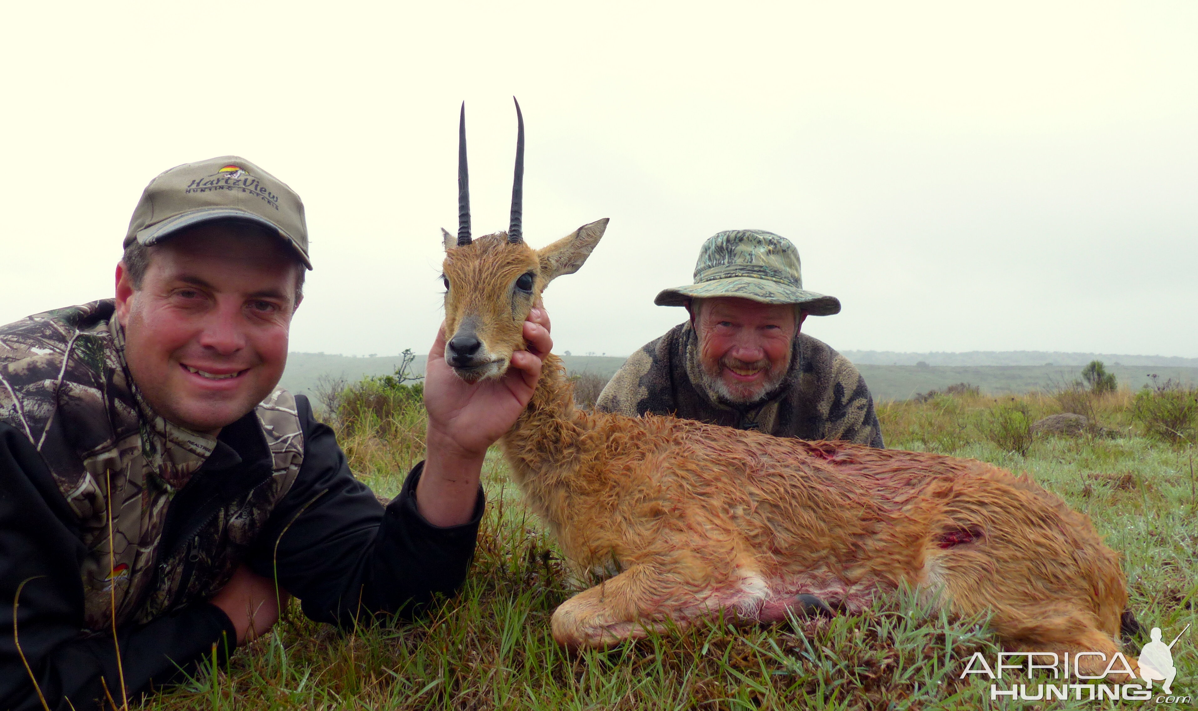 South Africa Grey Rhebok Hunt