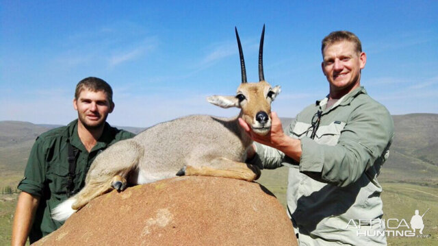 South Africa Grey Rhebok Hunt