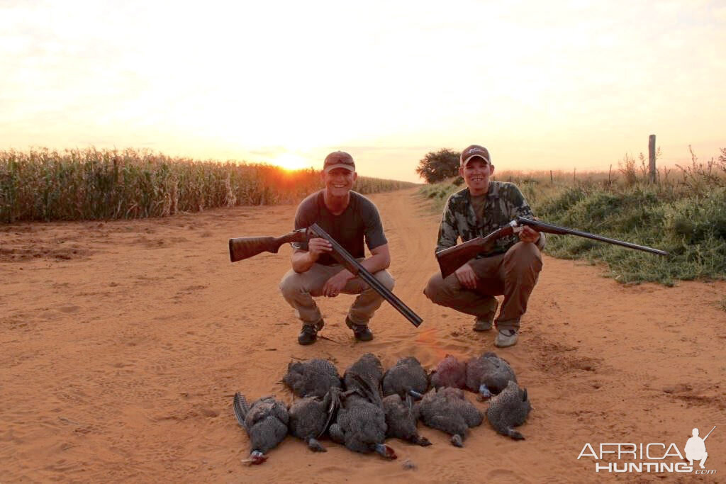 South Africa Guineafowl Wing Shooting