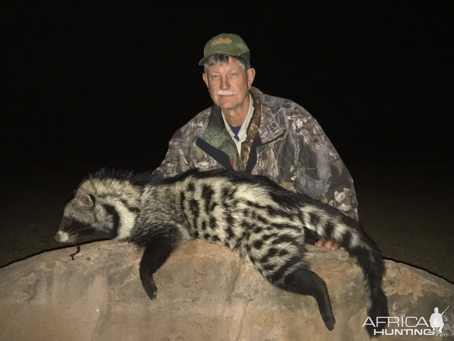 South Africa Hunt African Civet