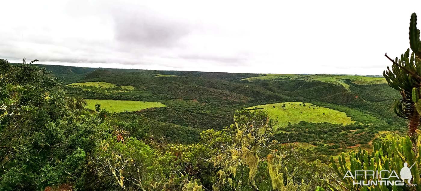 South Africa Hunt Area