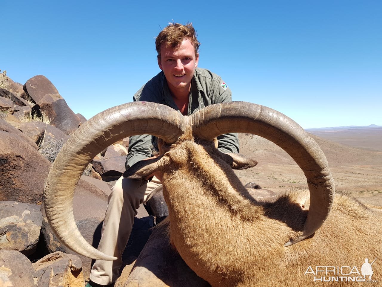 South Africa Hunt Barbary Sheep