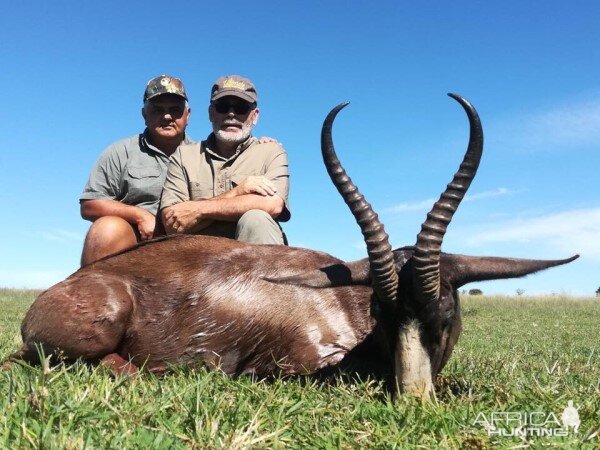 South Africa Hunt Black Springbok