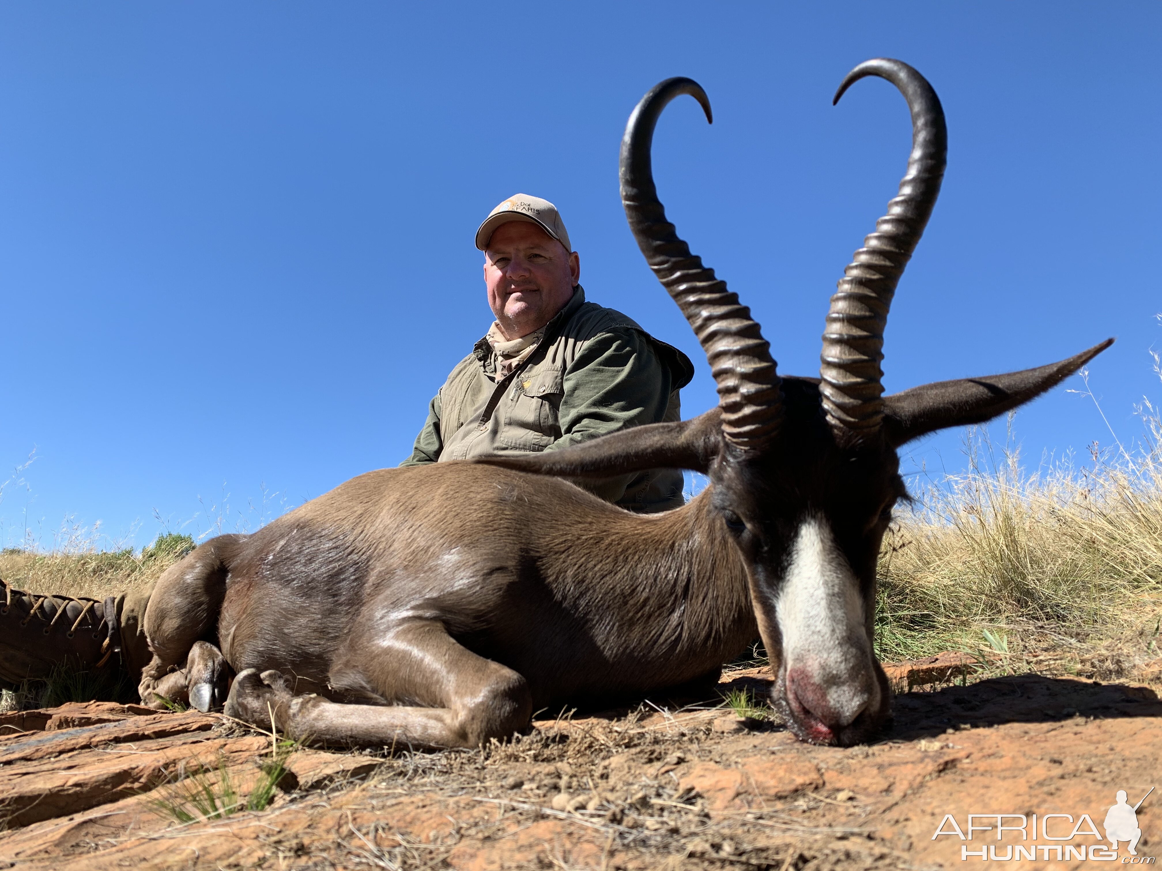 South Africa Hunt Black Springbok