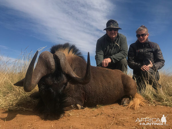 South Africa Hunt Black Wildebeest