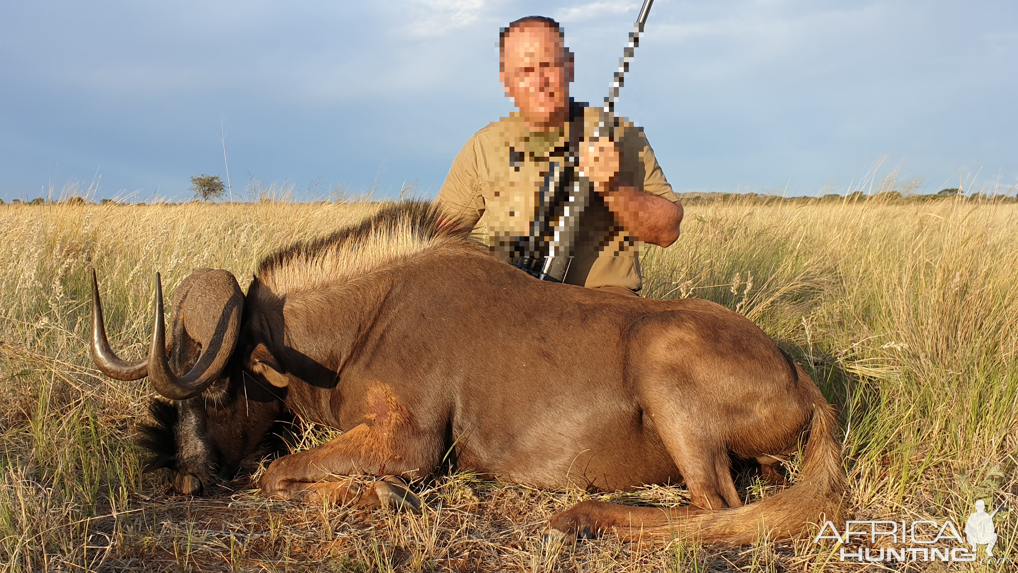 South Africa Hunt Black Wildebeest