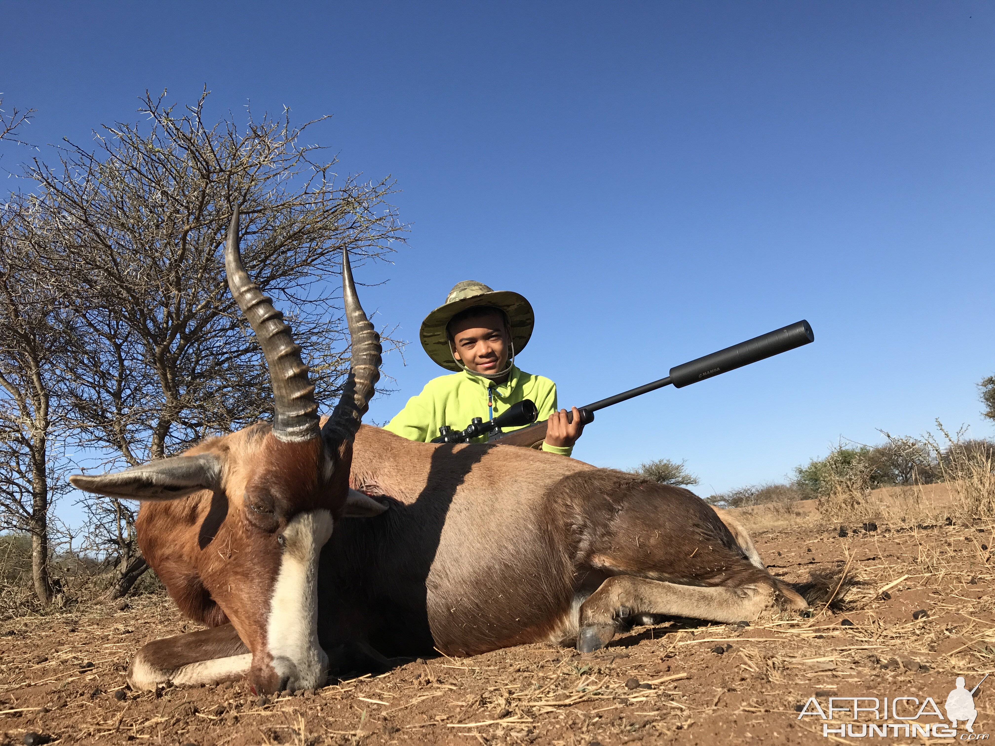 South Africa Hunt Blesbok