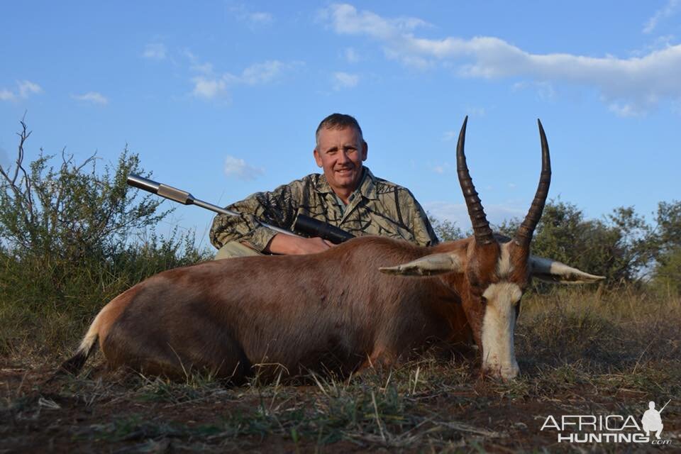 South Africa Hunt Blesbok