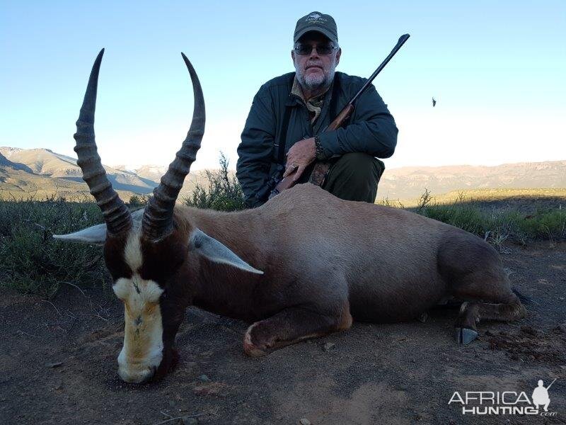 South Africa Hunt Blesbok