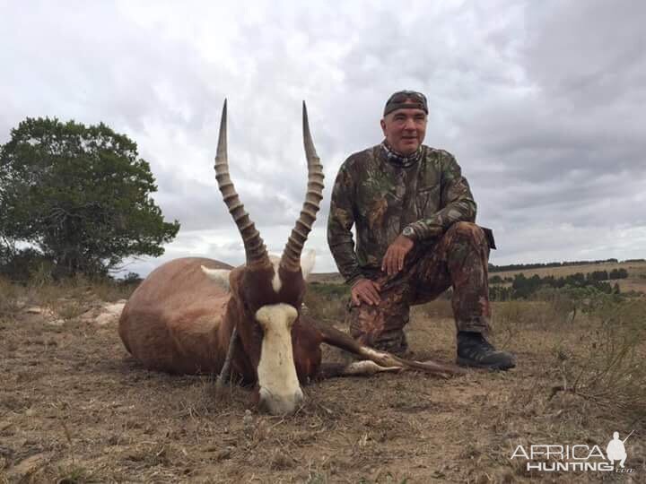 South Africa Hunt Blesbok