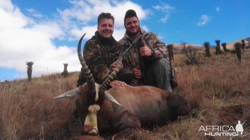 South Africa Hunt Blesbok