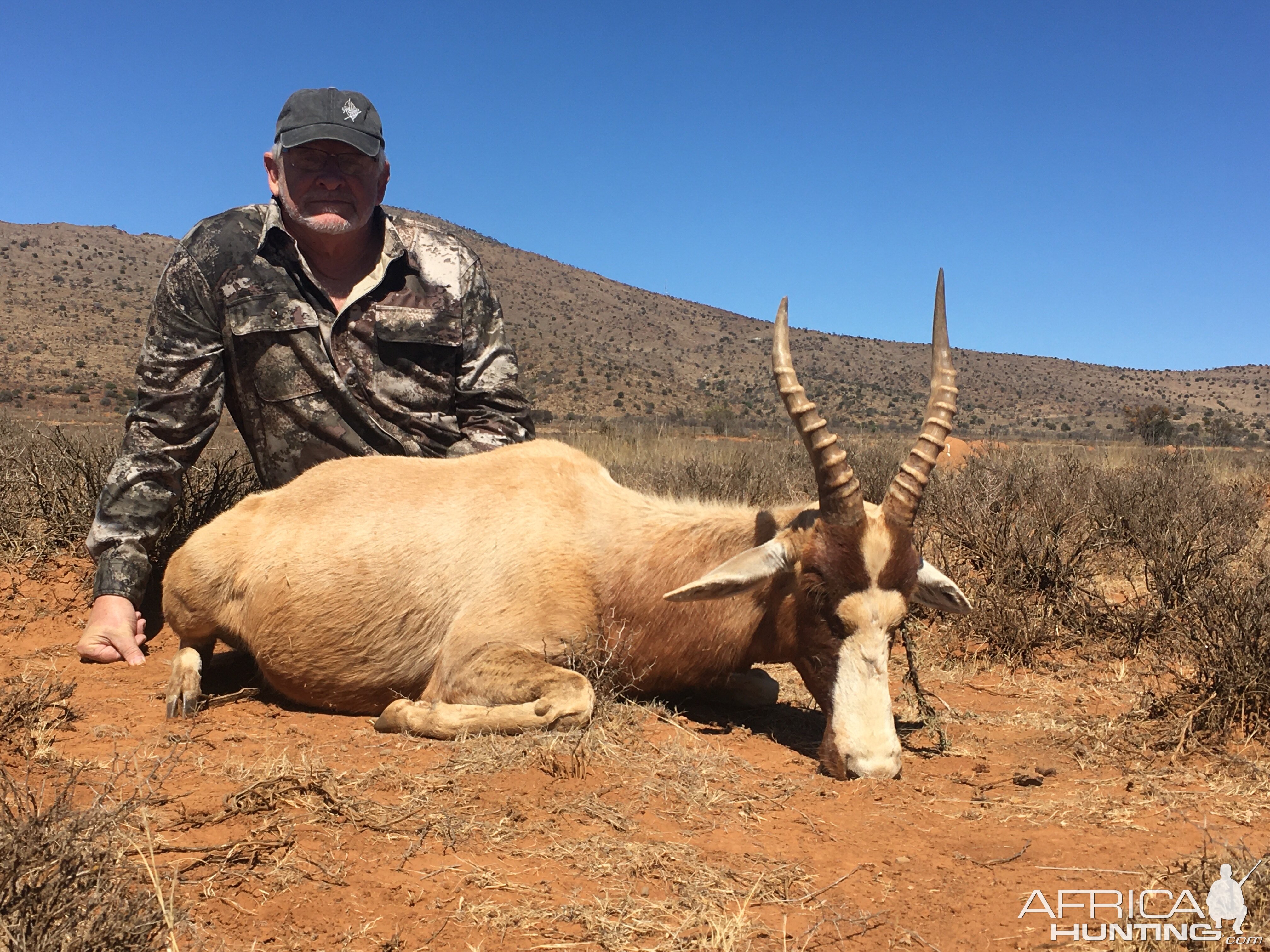 South Africa Hunt Blesbok