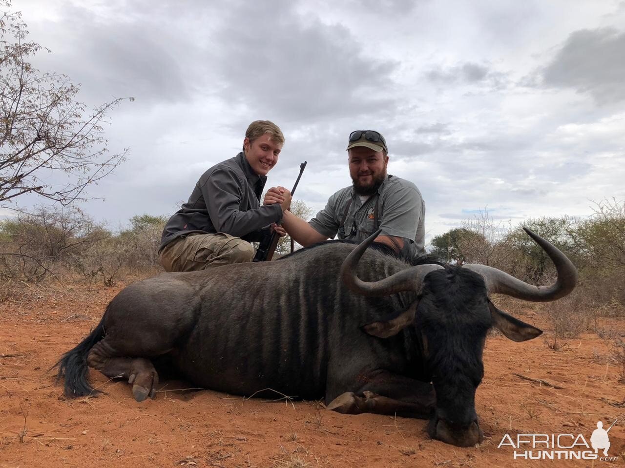 South Africa Hunt Blue Wildebeest