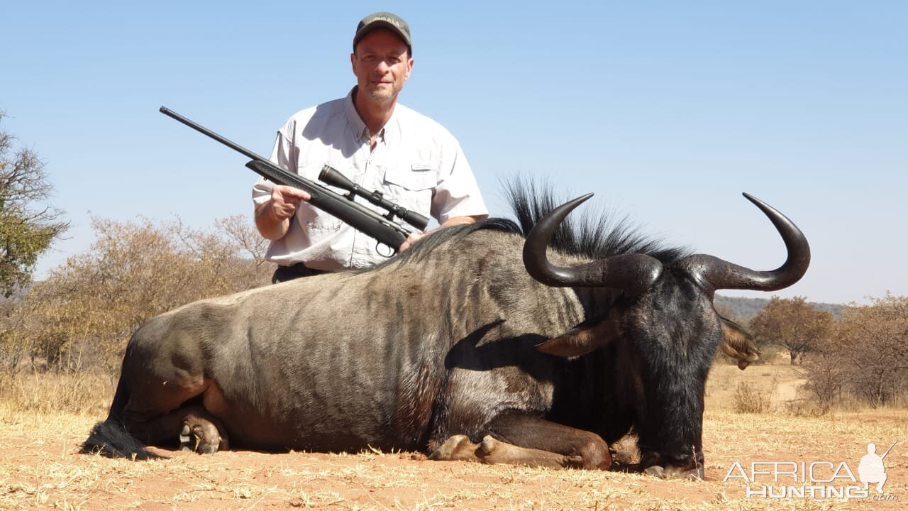 South Africa Hunt Blue Wildebeest