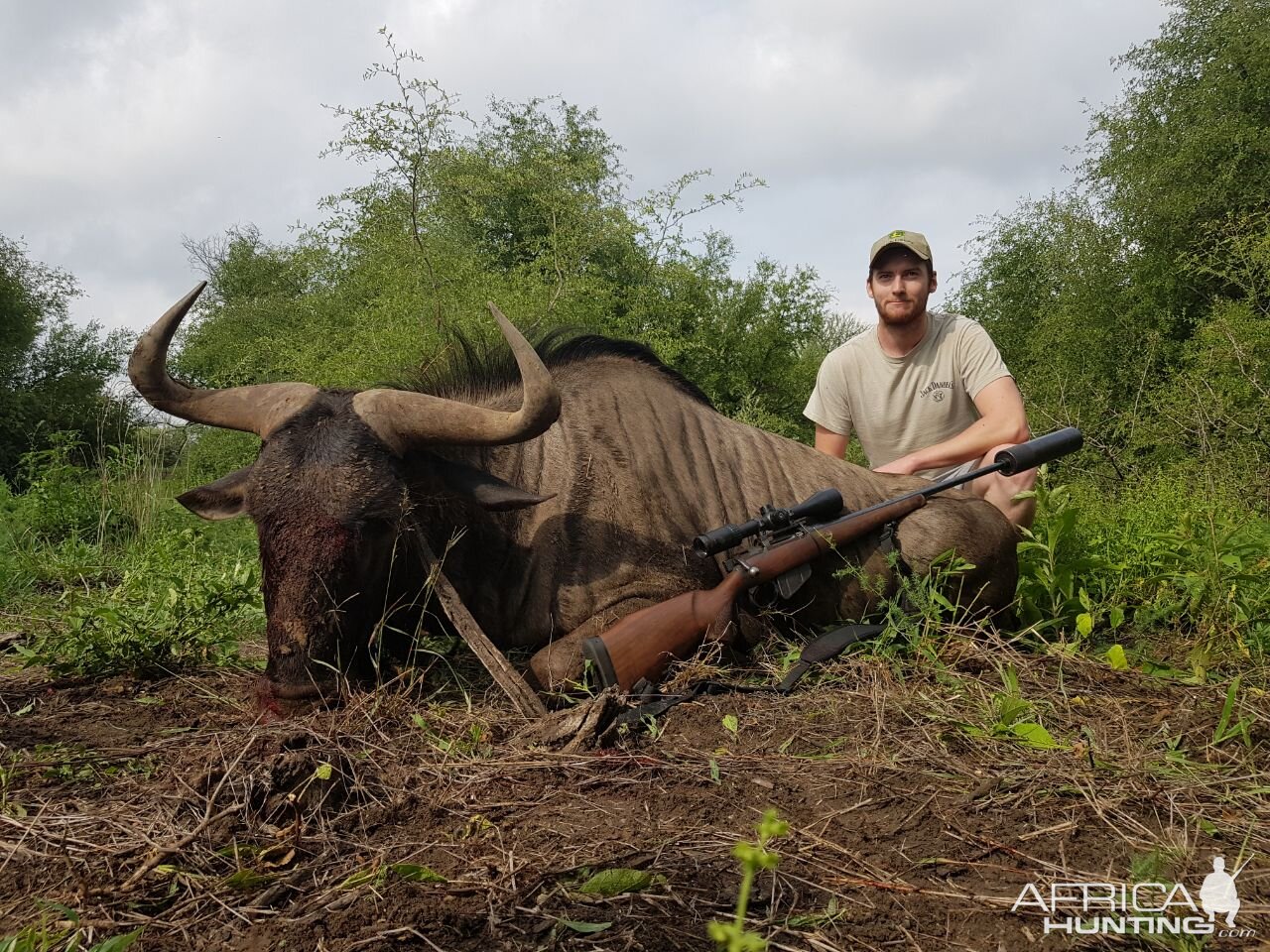 South Africa Hunt Blue Wildebeest