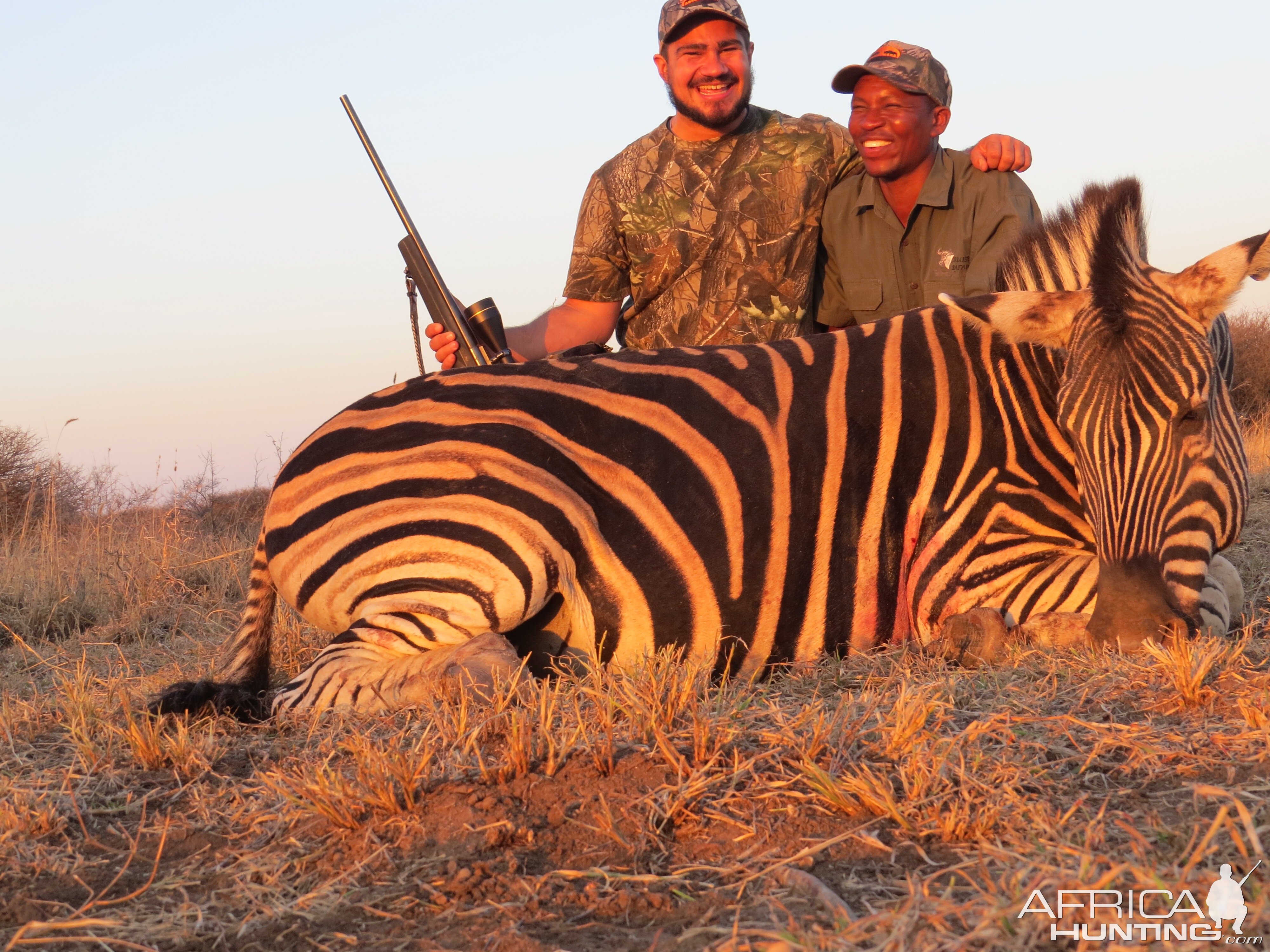 South Africa Hunt Burchell's Plain Zebra