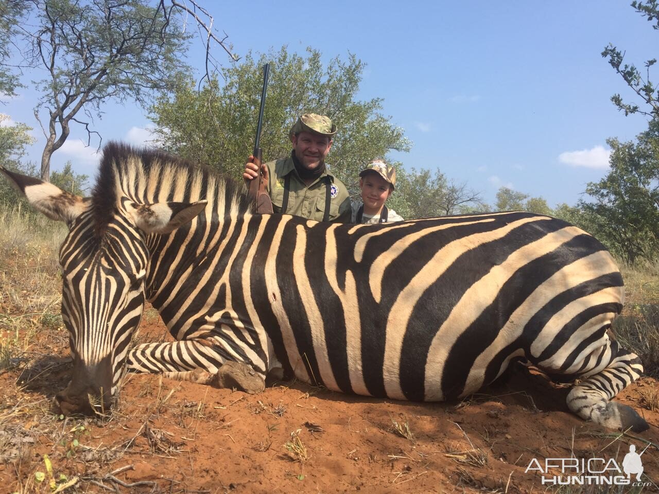 South Africa Hunt Burchell's Plain Zebra