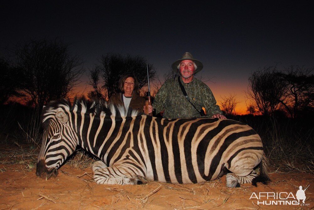 South Africa Hunt Burchell's Plain Zebra