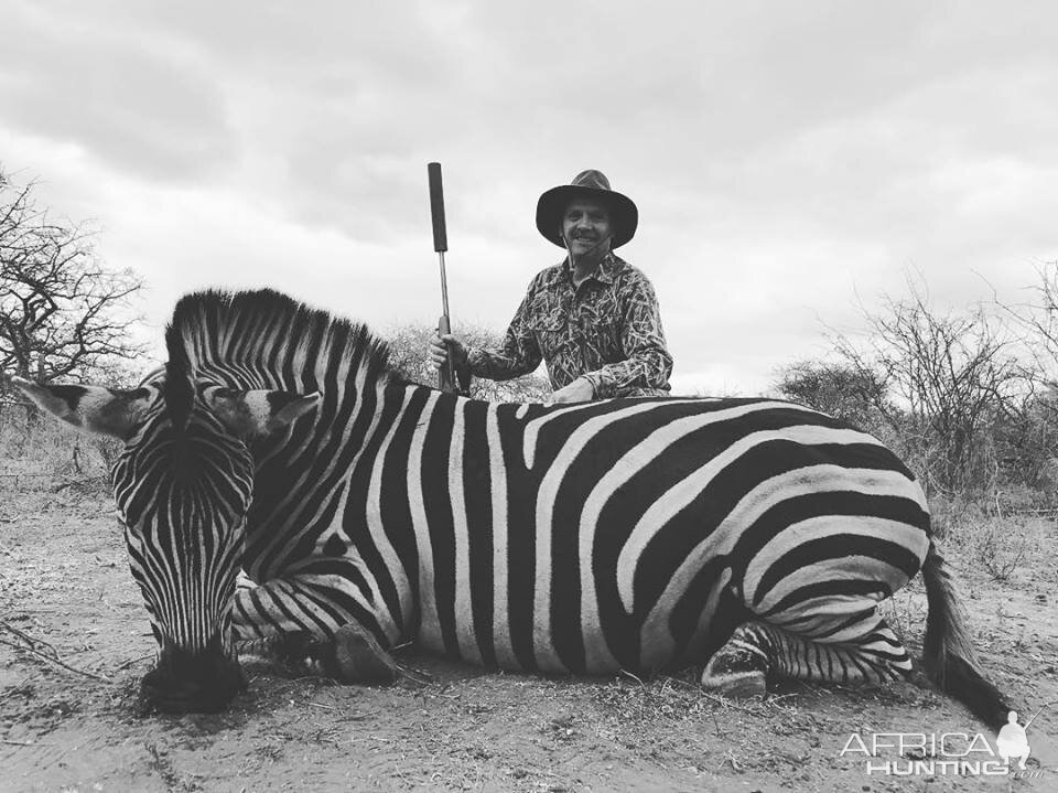 South Africa Hunt Burchell's Plain Zebra