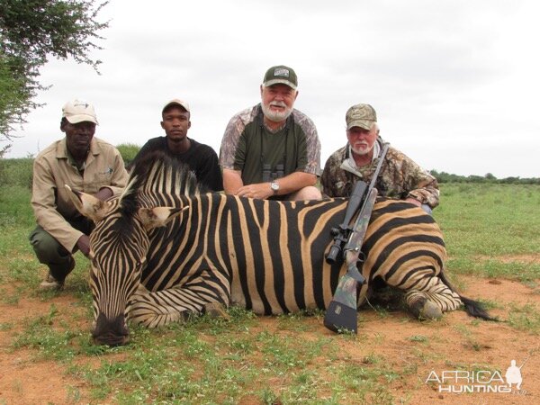 South Africa Hunt Burchell's Plain Zebra