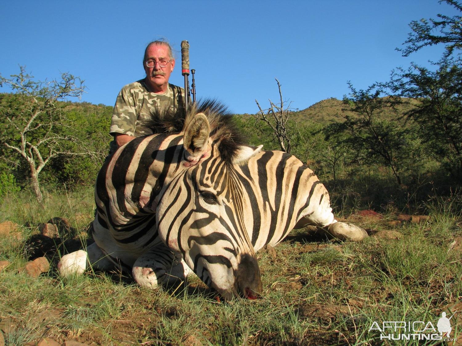 South Africa Hunt Burchell's Plain Zebra