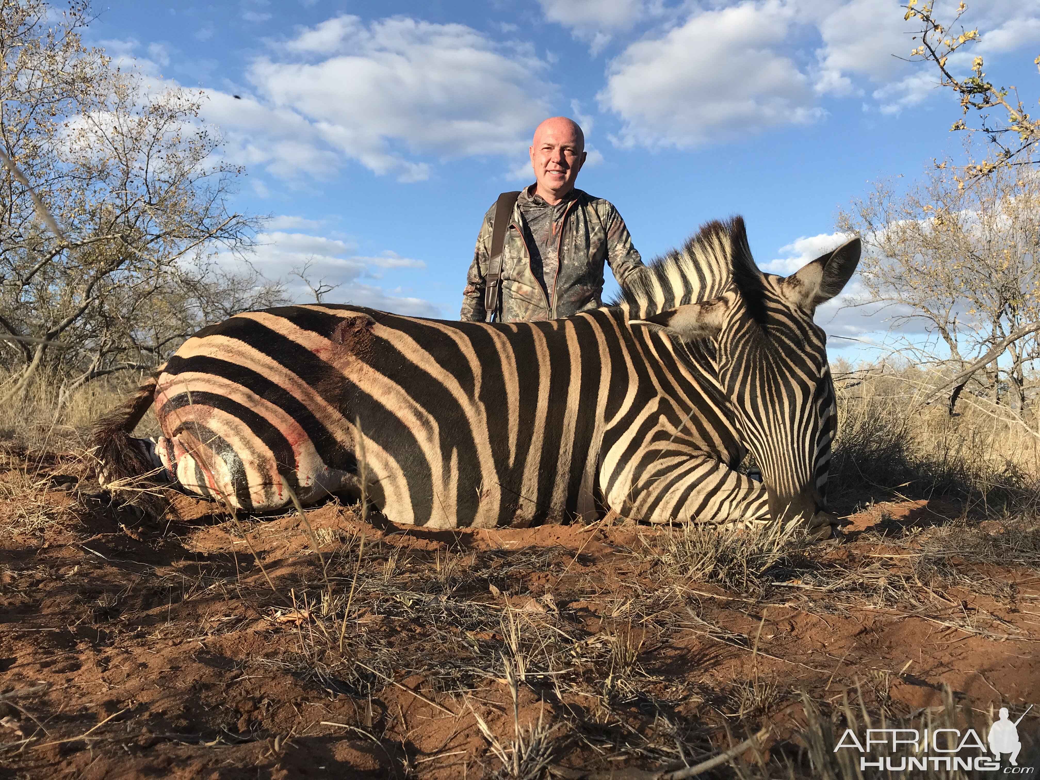 South Africa Hunt Burchell's Plain Zebra