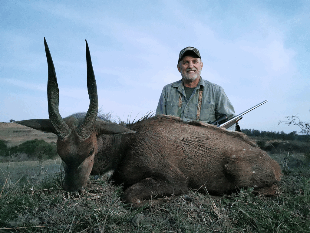 South Africa Hunt Bushbuck