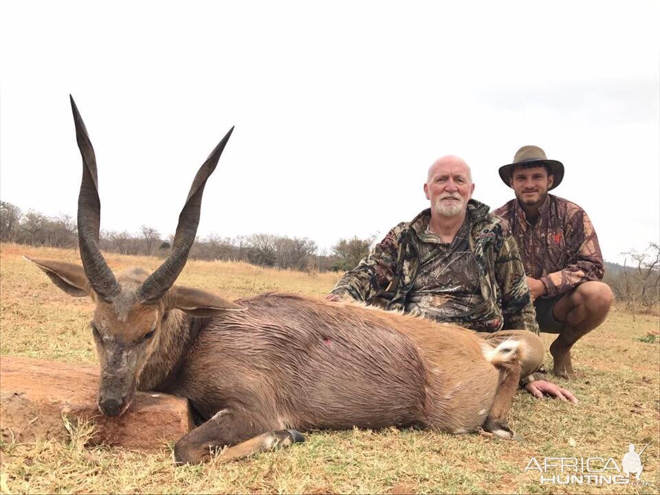 South Africa Hunt Bushbuck