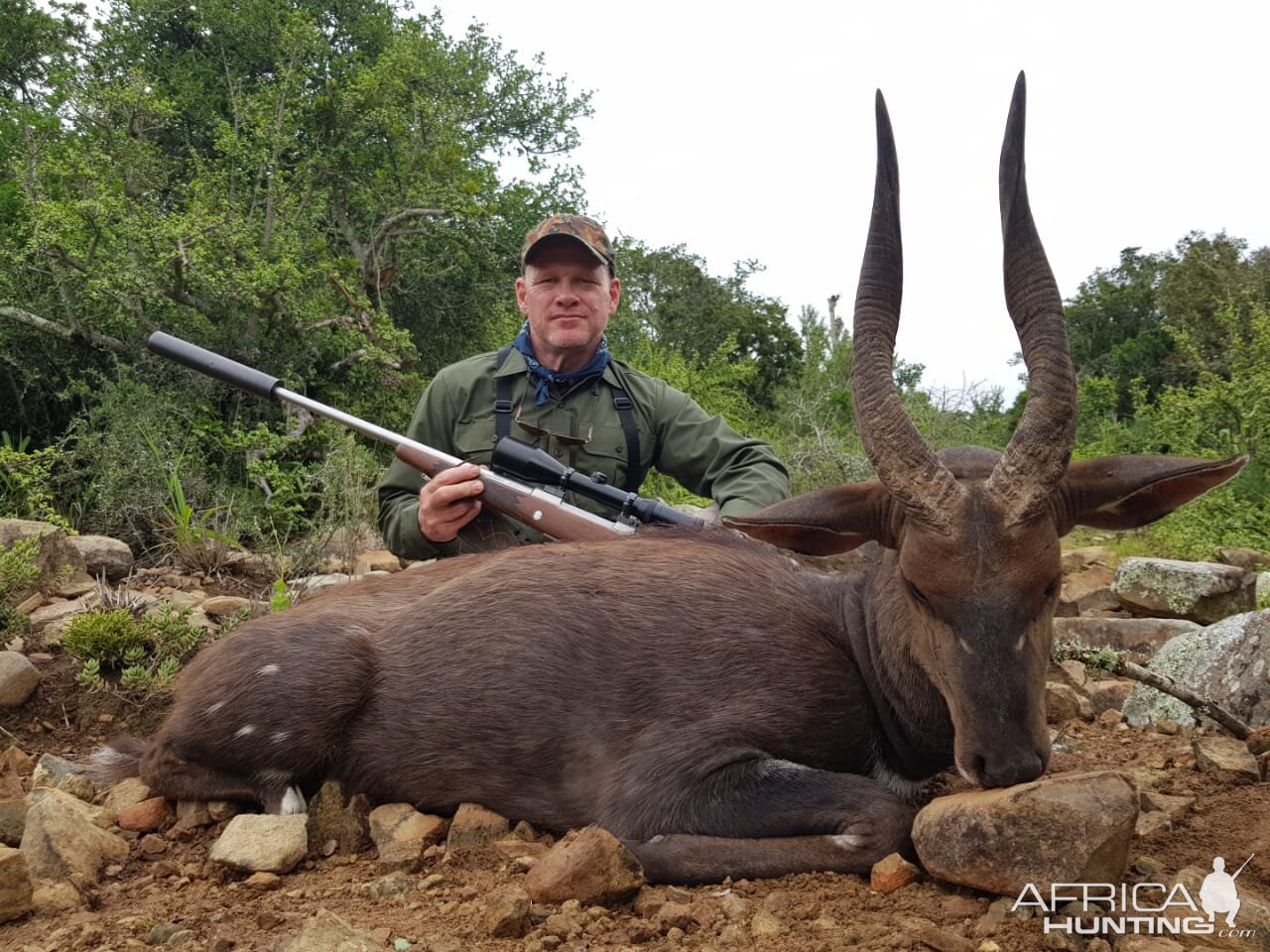 South Africa Hunt Bushbuck