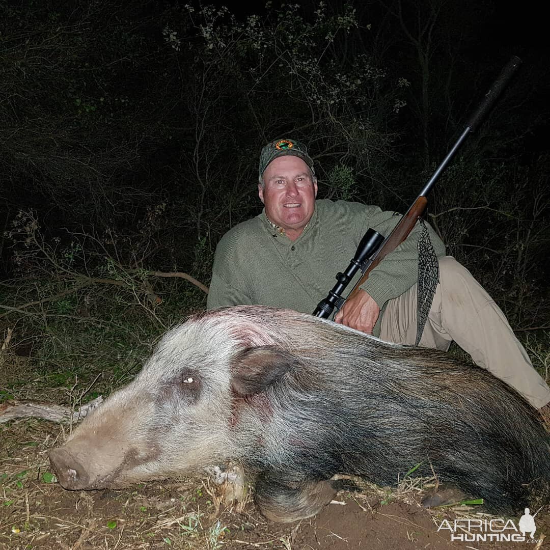 South Africa Hunt Bushpig