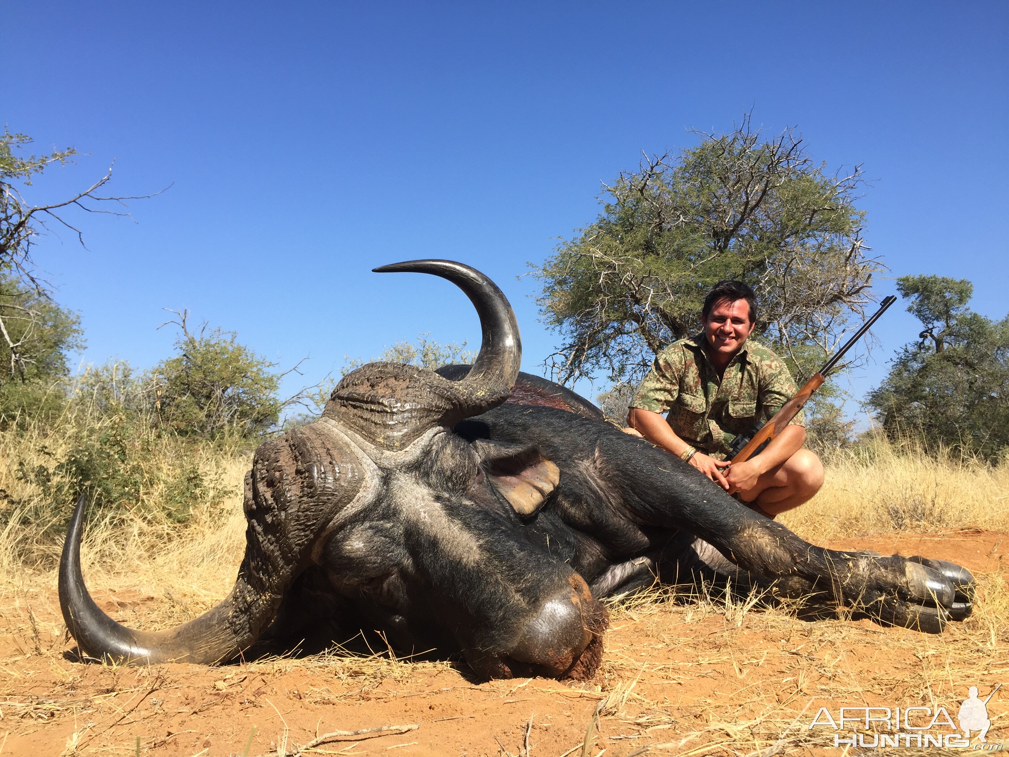 South Africa Hunt Cape Buffalo