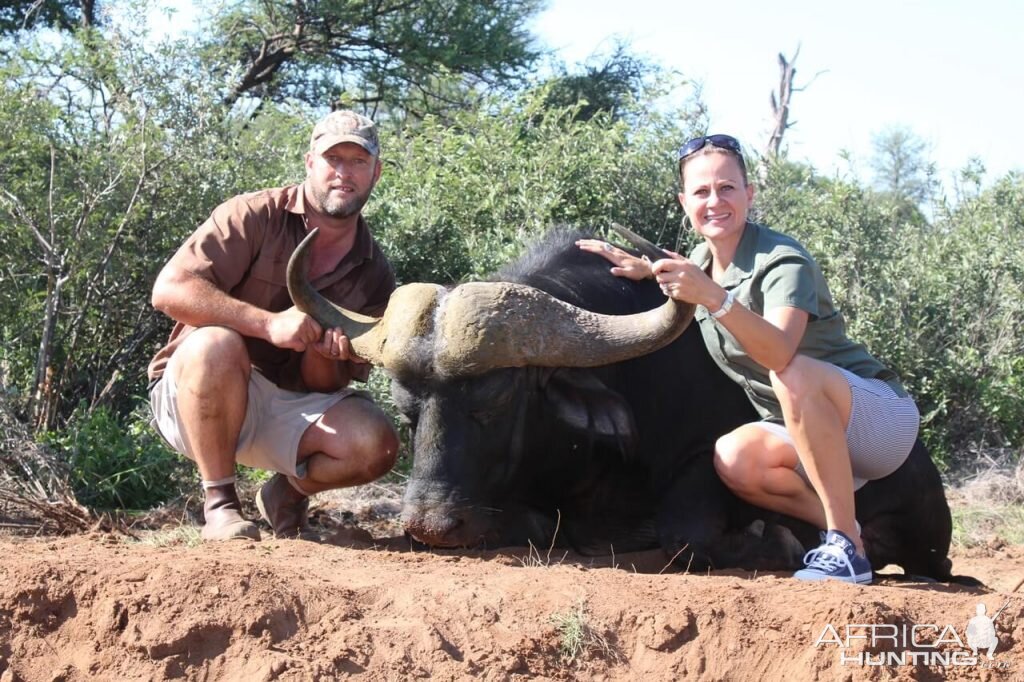 South Africa Hunt Cape Buffalo