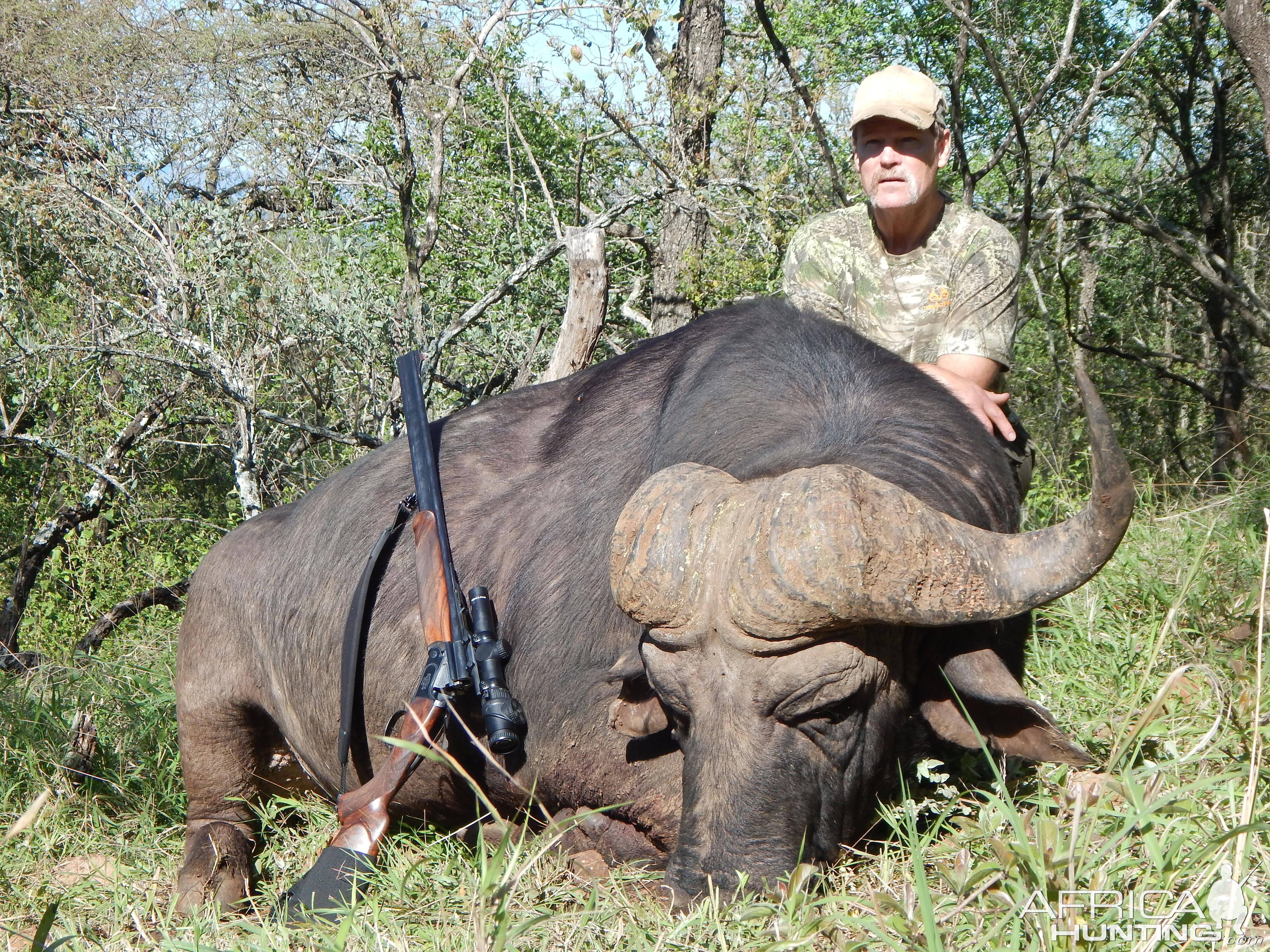 South Africa Hunt Cape Buffalo