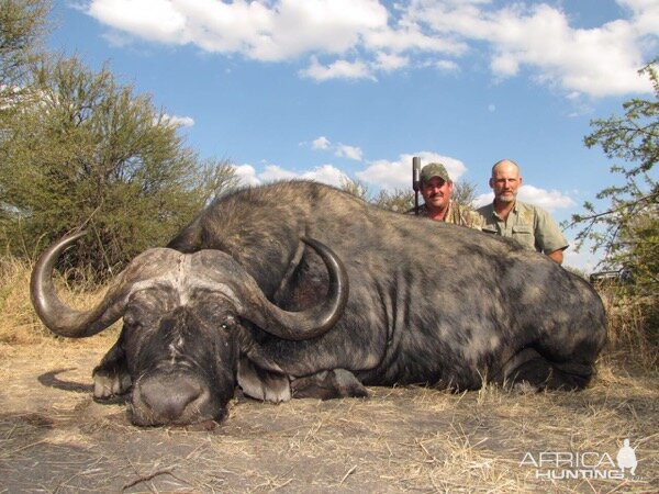 South Africa Hunt Cape Buffalo | AfricaHunting.com