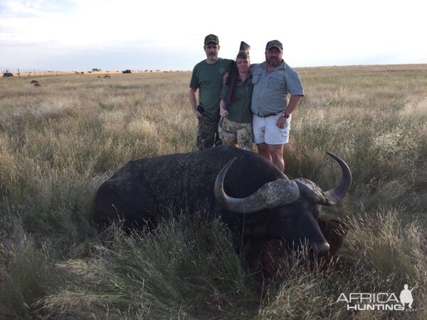 South Africa Hunt Cape Buffalo | AfricaHunting.com