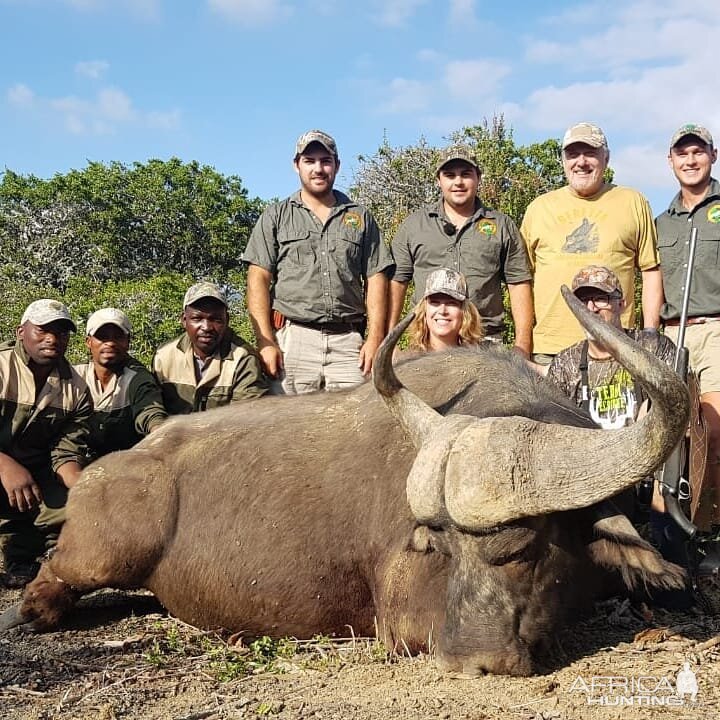 South Africa Hunt Cape Buffalo